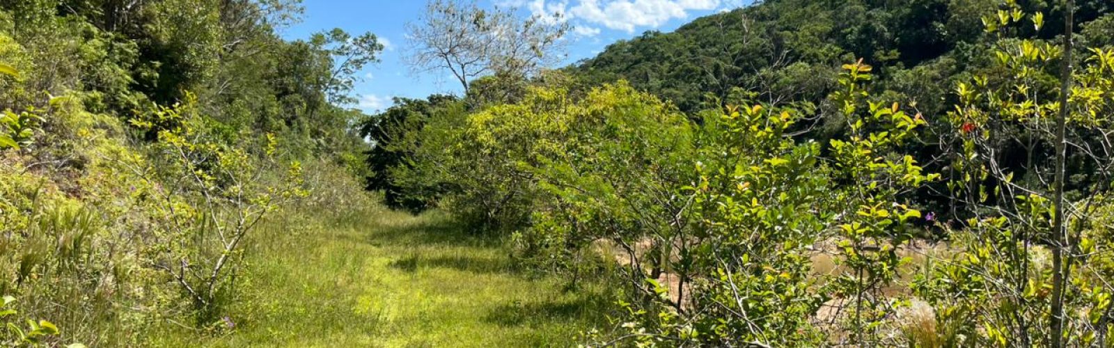 WhatsApp Image 2026-03-11 at 16.26.12 (5)