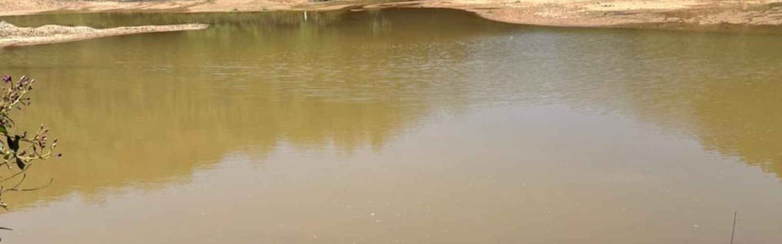 WhatsApp Image 2026-03-11 at 16.26.13 (3)